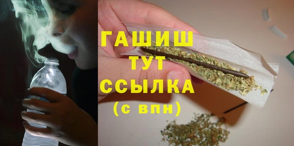прущие грибы Сосновый Бор