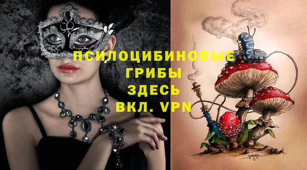 mdma Бородино