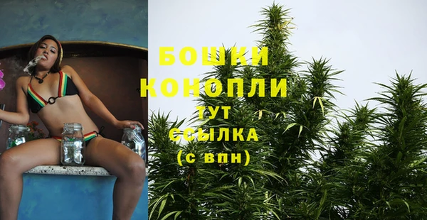 mdma Бородино