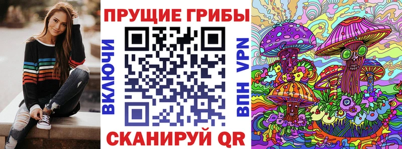 Псилоцибиновые грибы Psilocybe  Купить закладки  Белорецк 